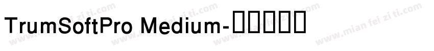 TrumSoftPro Medium字体转换